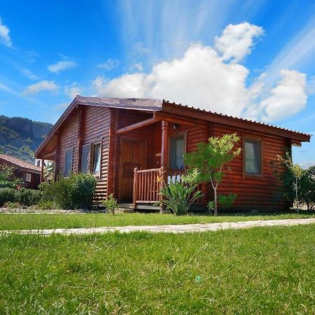 Hayitbuku Ahsapevleri Guest House Mesudiye  Bilik gambar