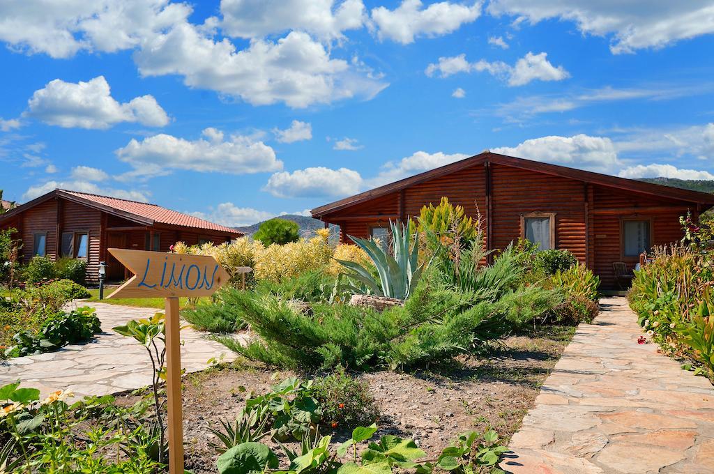 Hayitbuku Ahsapevleri Guest House Mesudiye  Luaran gambar
