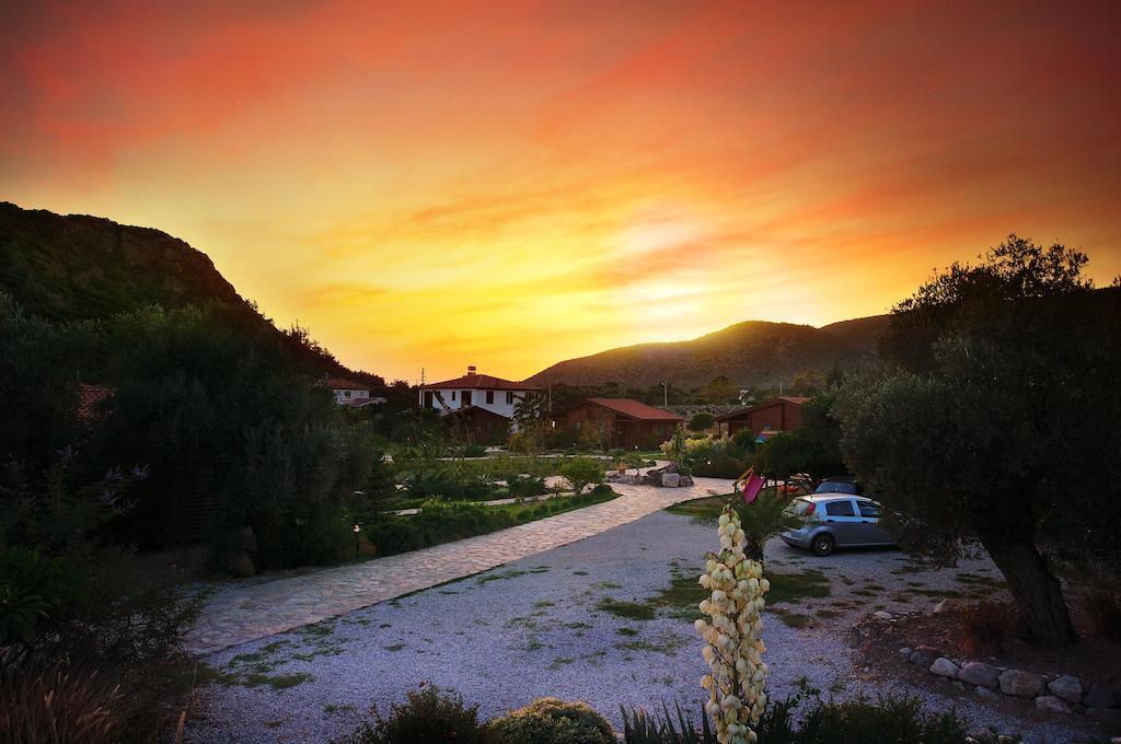 Hayitbuku Ahsapevleri Guest House Mesudiye  Luaran gambar