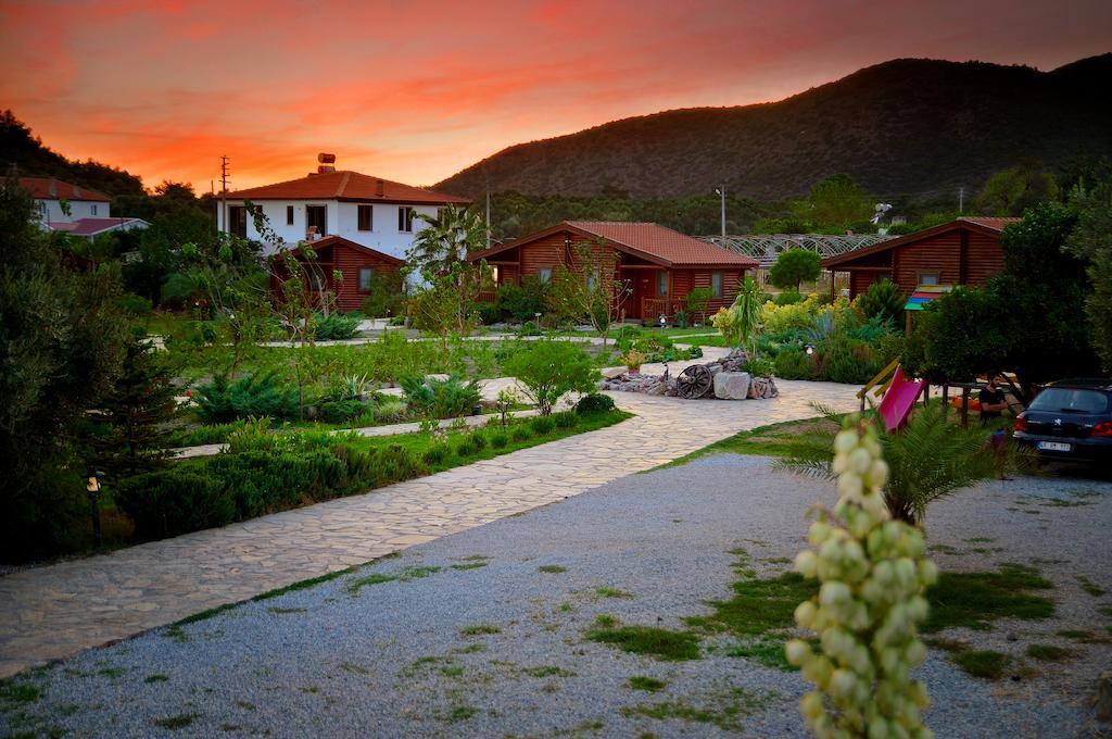 Hayitbuku Ahsapevleri Guest House Mesudiye  Luaran gambar