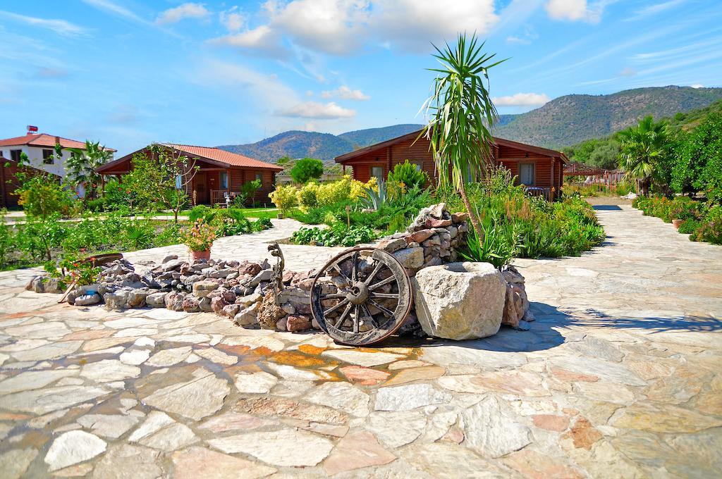 Hayitbuku Ahsapevleri Guest House Mesudiye  Luaran gambar