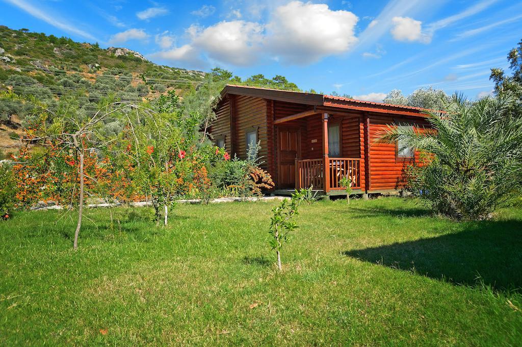 Hayitbuku Ahsapevleri Guest House Mesudiye  Luaran gambar