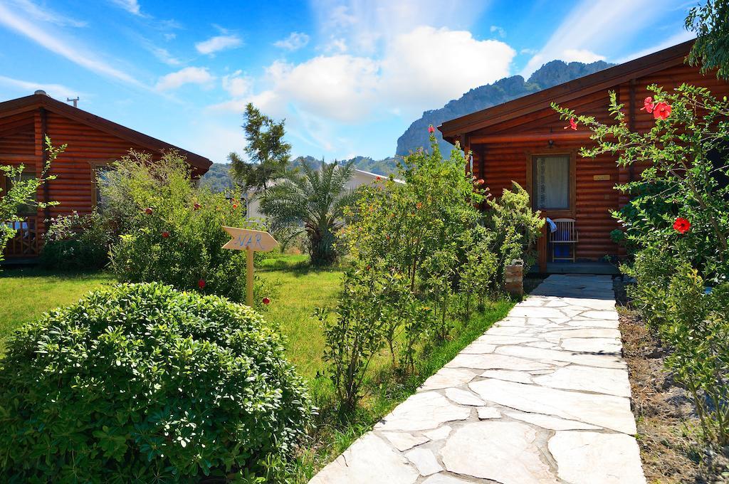 Hayitbuku Ahsapevleri Guest House Mesudiye  Luaran gambar