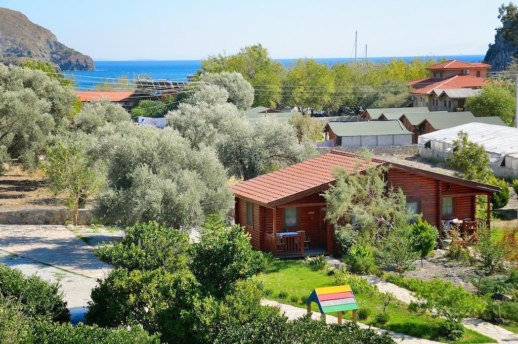 Hayitbuku Ahsapevleri Guest House Mesudiye  Luaran gambar
