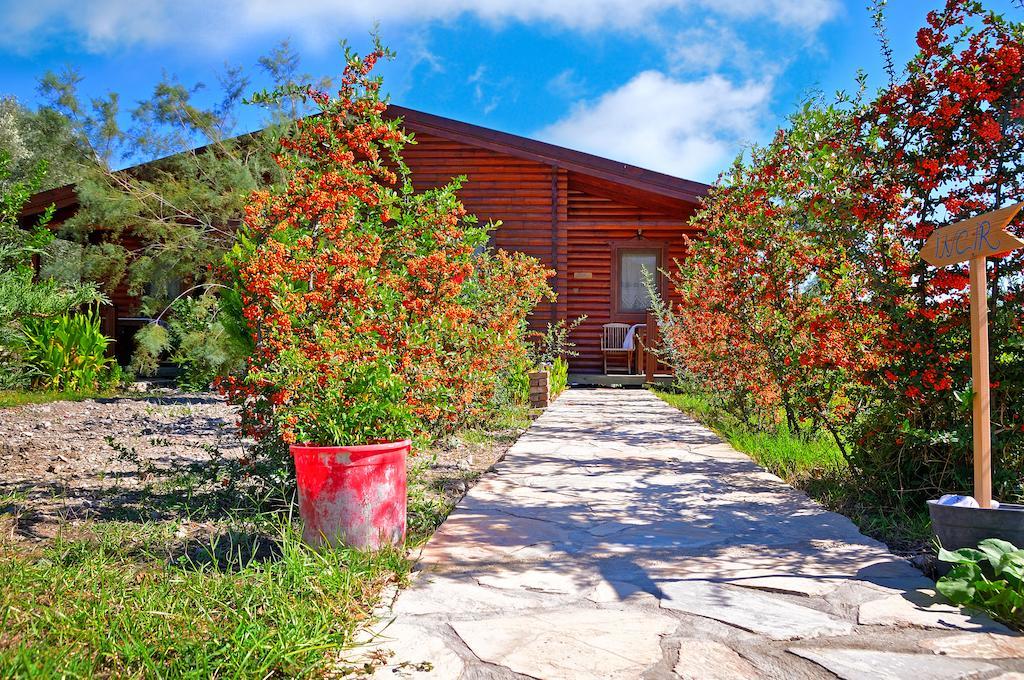 Hayitbuku Ahsapevleri Guest House Mesudiye  Luaran gambar