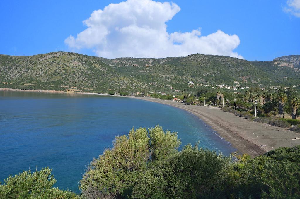 Hayitbuku Ahsapevleri Guest House Mesudiye  Luaran gambar