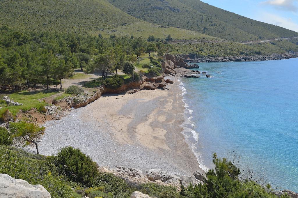 Hayitbuku Ahsapevleri Guest House Mesudiye  Luaran gambar