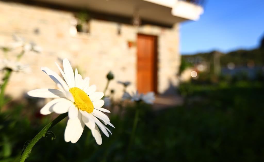 Hayitbuku Ahsapevleri Guest House Mesudiye  Luaran gambar