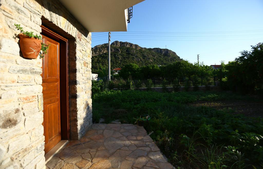 Hayitbuku Ahsapevleri Guest House Mesudiye  Luaran gambar
