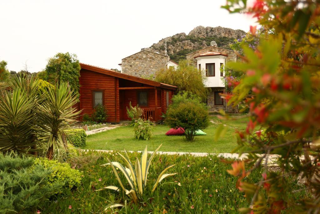 Hayitbuku Ahsapevleri Guest House Mesudiye  Luaran gambar