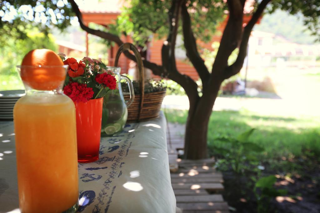 Hayitbuku Ahsapevleri Guest House Mesudiye  Luaran gambar