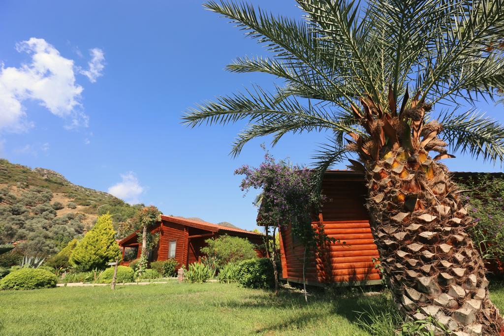 Hayitbuku Ahsapevleri Guest House Mesudiye  Luaran gambar
