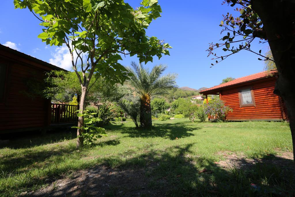 Hayitbuku Ahsapevleri Guest House Mesudiye  Luaran gambar