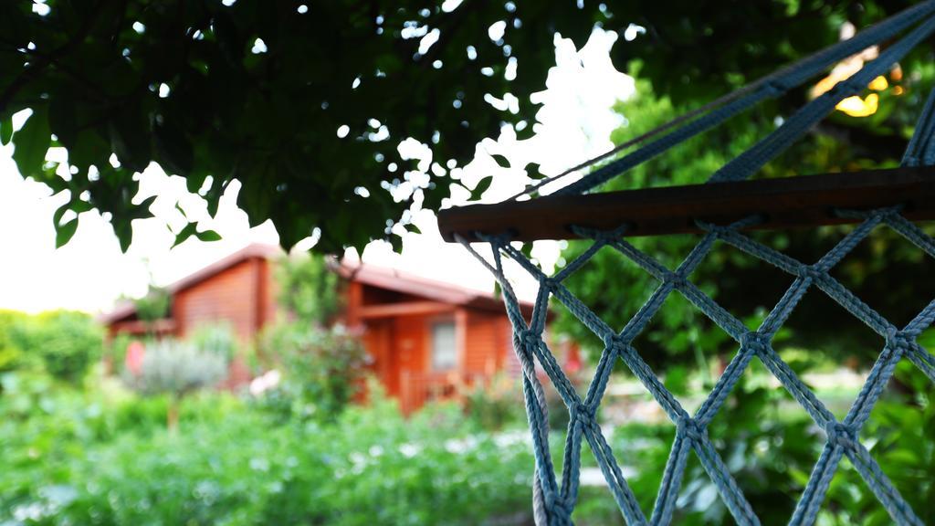 Hayitbuku Ahsapevleri Guest House Mesudiye  Luaran gambar