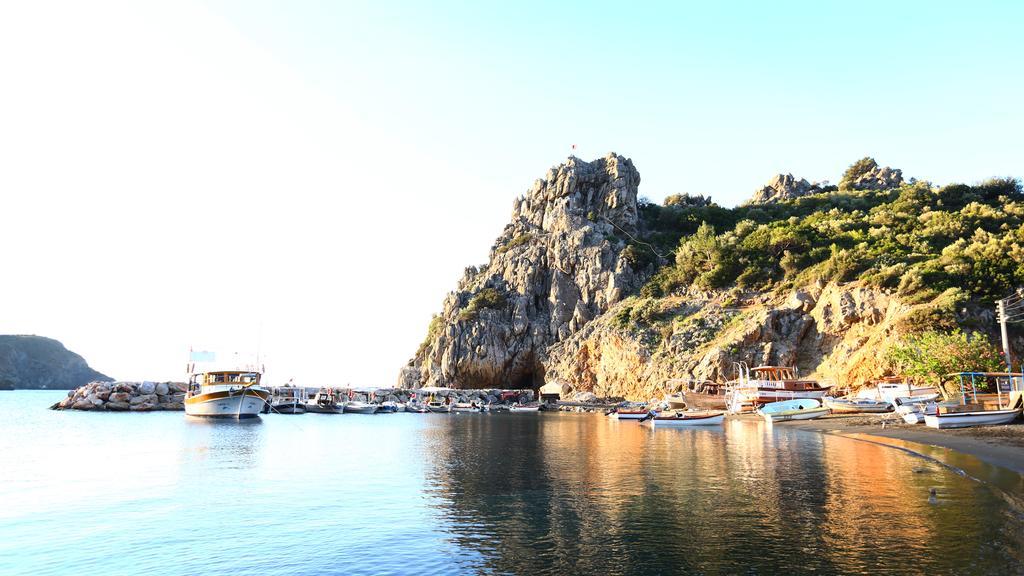 Hayitbuku Ahsapevleri Guest House Mesudiye  Luaran gambar