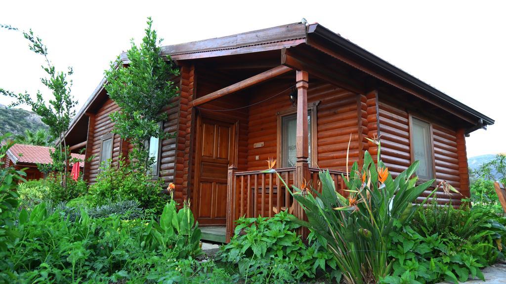 Hayitbuku Ahsapevleri Guest House Mesudiye  Luaran gambar