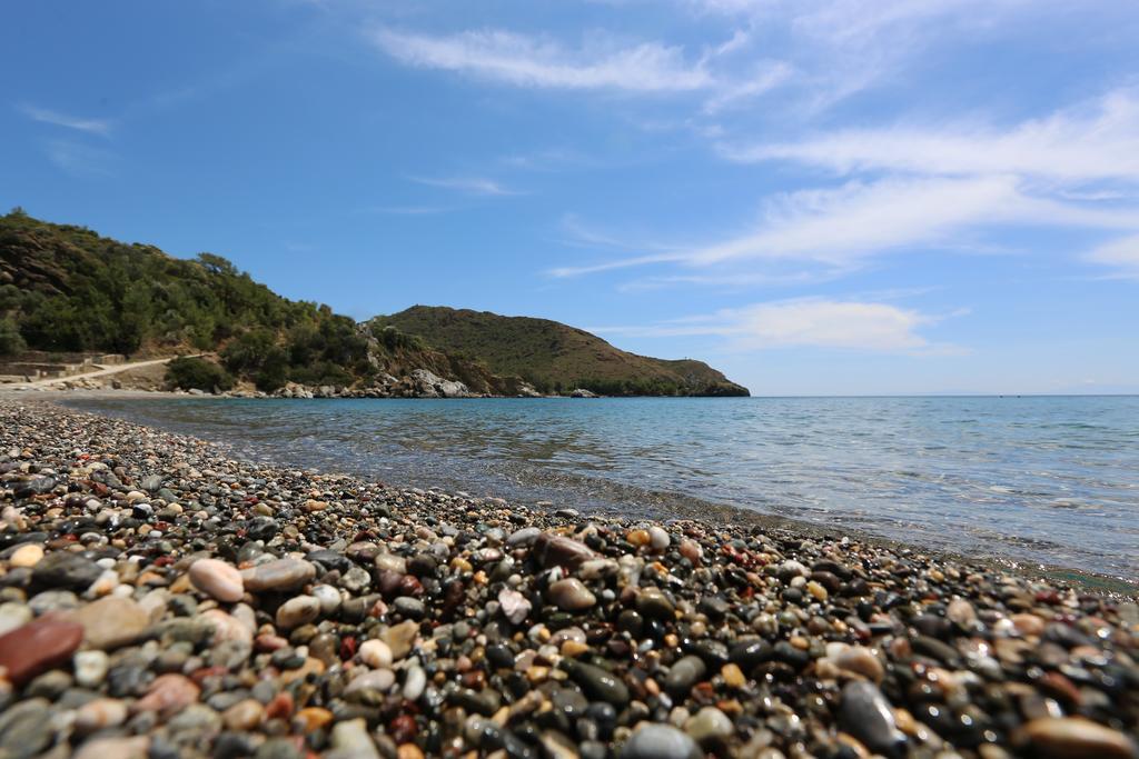 Hayitbuku Ahsapevleri Guest House Mesudiye  Luaran gambar