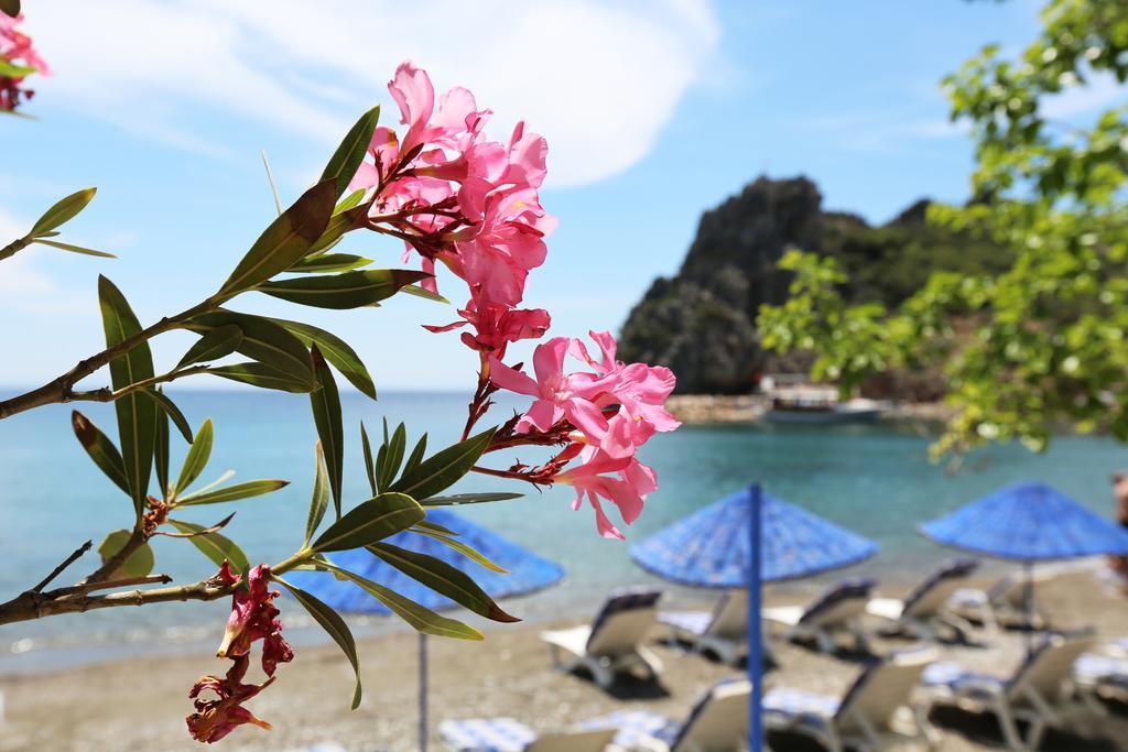 Hayitbuku Ahsapevleri Guest House Mesudiye  Luaran gambar