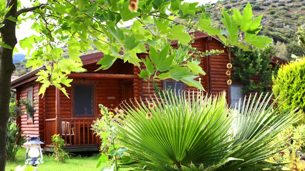 Hayitbuku Ahsapevleri Guest House Mesudiye  Luaran gambar