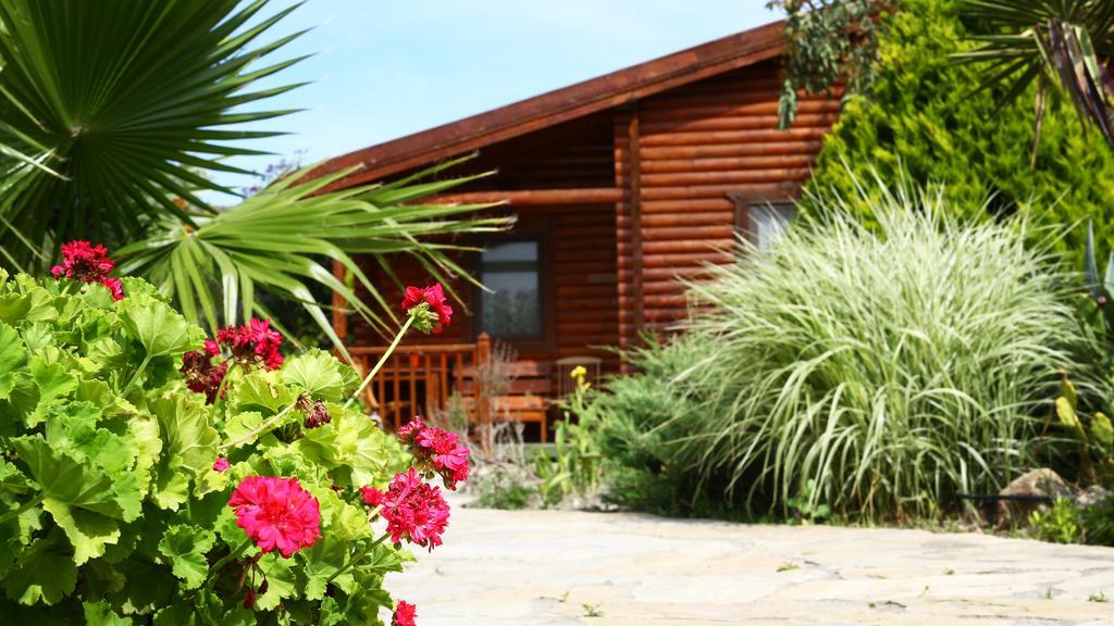 Hayitbuku Ahsapevleri Guest House Mesudiye  Luaran gambar